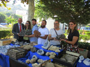 GMA. II Feria de Minerales de Cartama