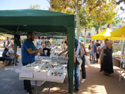 GMA. II Feria de Minerales de Cartama