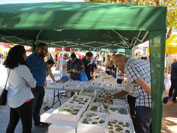 GMA. II Feria de Minerales de Cartama