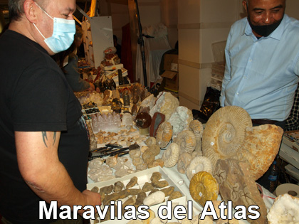 GMA. Minerval 2021. 34 Feria de  Minerales, Fósiles y Gemas de Valencia