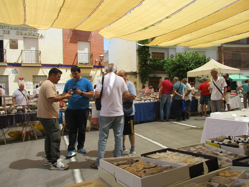 X Feria de Minerales de Beas de Granada