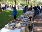 X Mesa de Minerales de Colmenar Viejo 