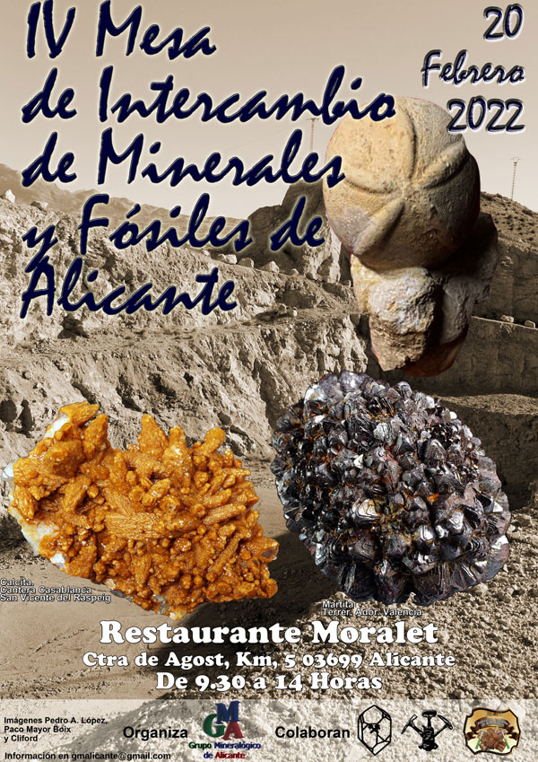 IV Mesa de Intercambio de Minerales y Fósiles de Alicante