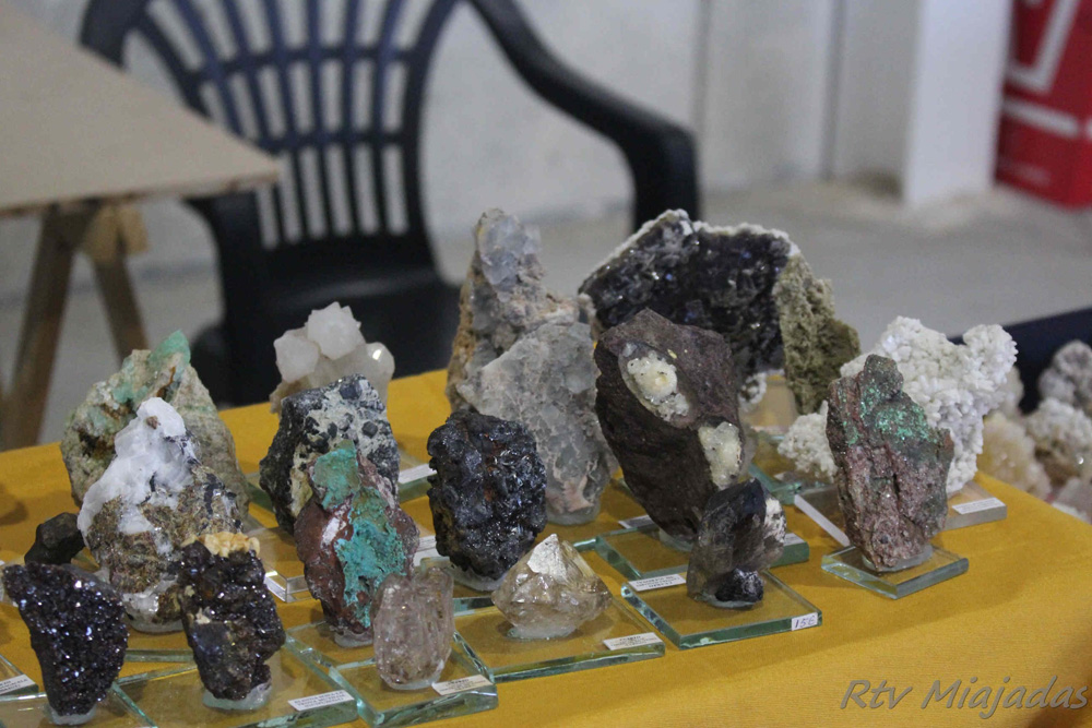 IV Mesa de Minerales de Miajadas