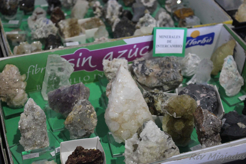 IV Mesa de Minerales de Miajadas