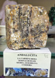  MINERALIA´s Sevilla. XXXIV Exposición Bolsa Internacional de Minerales, Fósiles y Gemas