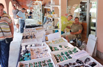 II Feria de Minerales, Rocas y Fósiles. Sabero. León 