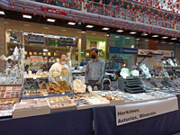 GMA. 8ª Feira de Minerais Santiago de Compostela. 