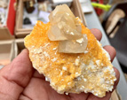 VI Mesa de Intercambio de Minerales y Fósiles de Alicante