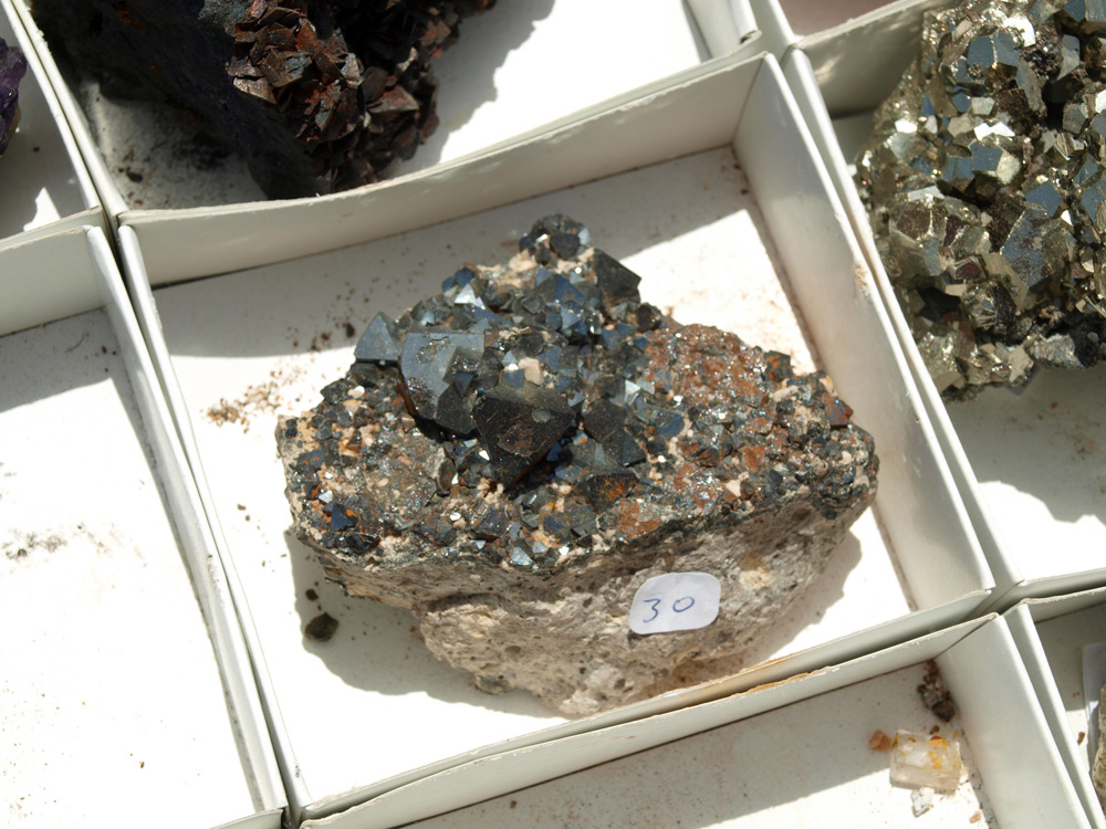 V Mesa de Intercambio de Minerales y Fósiles de Alicante