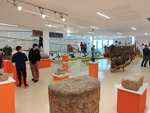 XI Mesa de Intercambio de Minerales, Rocas y Fósiles