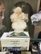 XXXII Certamen de Minerales, Gemas y Fósiles de Oviedo