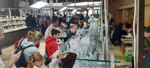 7ª Feria de Minerales dr Salamanca