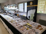 V Feria de Minerales y Fósiles Torrelavega 2023 