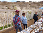 VII Mesa de Intercambio de Minerales y Fósiles de Alicante. 