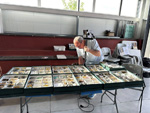 I Feria de Minerales de Pantoja