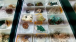 I Feria de Minerales de Pantoja