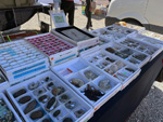 XI Mesa de Intercambio de MInerales de Alicante