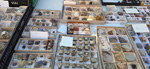 XI Mesa de Intercambio de MInerales de Alicante