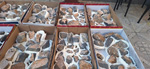 XI Mesa de Intercambio de MInerales de Alicante