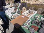 XI Mesa de Intercambio de MInerales de Alicante