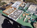 XI Mesa de Intercambio de MInerales de Alicante