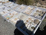 XI Mesa de Intercambio de MInerales de Alicante