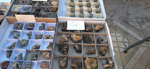 XI Mesa de Intercambio de MInerales de Alicante