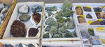 XI Mesa de Intercambio de MInerales de Alicante