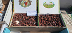 XI Mesa de Intercambio de MInerales de Alicante