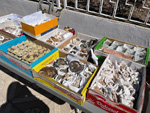 XI Mesa de Intercambio de MInerales de Alicante