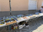 XI Mesa de Intercambio de MInerales de Alicante