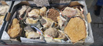 XI Mesa de Intercambio de MInerales de Alicante