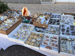 XI Mesa de Intercambio de MInerales de Alicante