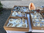 XI Mesa de Intercambio de MInerales de Alicante