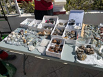 XI Mesa de Intercambio de MInerales de Alicante