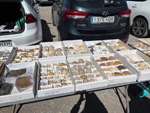 XI Mesa de Intercambio de MInerales de Alicante