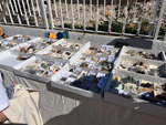 XI Mesa de Intercambio de MInerales de Alicante