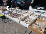 XI Mesa de Intercambio de MInerales de Alicante