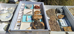 XI Mesa de Intercambio de MInerales de Alicante