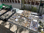 XI Mesa de Intercambio de MInerales de Alicante
