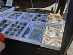 XI Mesa de Intercambio de MInerales de Alicante