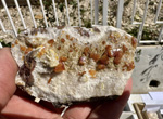 XI Mesa de Intercambio de MInerales de Alicante