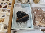  Mesa de Minerales de Deifontes. Granada