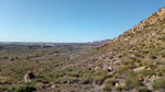 Grupo Mineralógico de Alicante. El Hoyazo. Nijar. Almería   