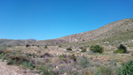 Grupo Mineralógico de Alicante. El Hoyazo. Nijar. Almería   