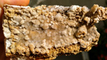 Grupo Mineralógico de Alicante. Estroncianita. Mina Orcolana: Busot. Alicante    