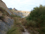 Grupo Mineralógico de Alicante. Canteras de arcilla situadas en la Zona del Pla, junto a la siera de los Tajos. Agost. Alicante