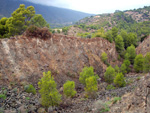 Grupo Mineralógico de Alicante.  Explotacion de Ofitas. Sierra de Olta. Calpe.. Alicante