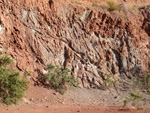 Cantera el Moresno. La Alcoraia. Alicante